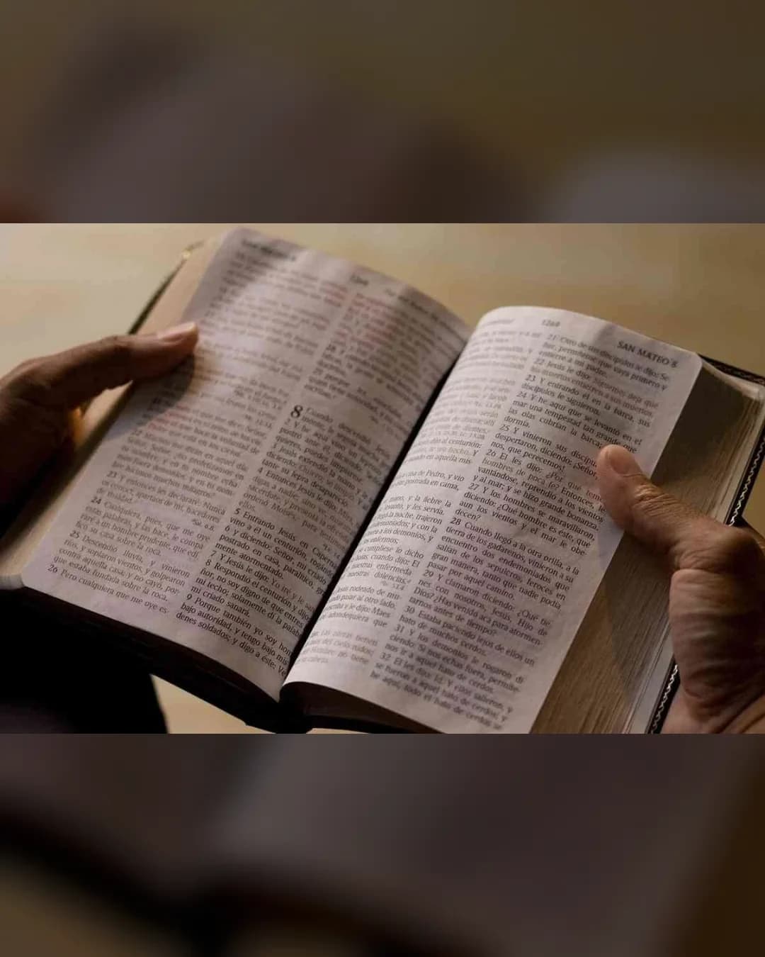 Leer la biblia Entera